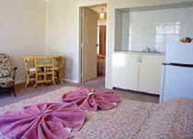 White Gum Motel Alice Springs Kamer foto